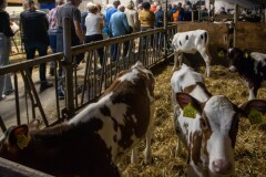Lions Nightwalk Eibergen (31)