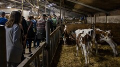 Lions Nightwalk Eibergen (33)